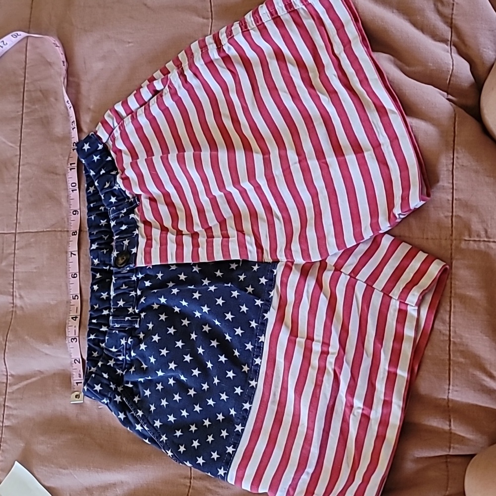 AWESOME 'MERICA CHUBBIES SHORTS